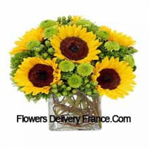 Jolis tournesols en vase