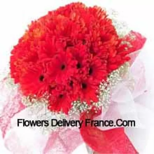 A Beautiful Bunch Of 37 Red Gerberas With Seasonal Fillers