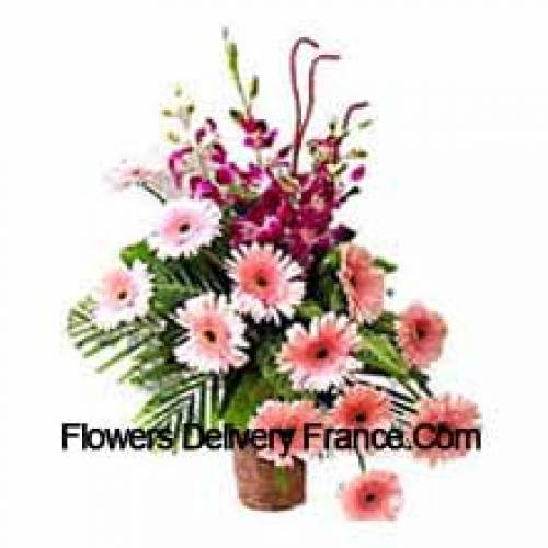 Sensational Gerberas with Orchids