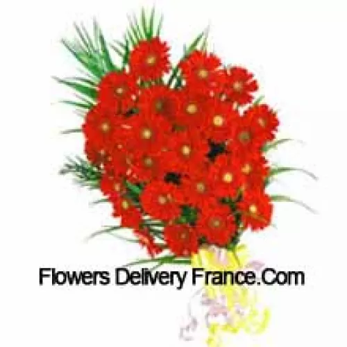 Bouquet de 25 Gerberas Rouges