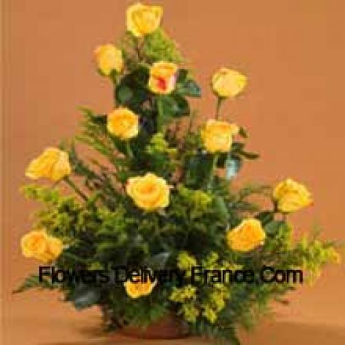 11 Charming Yellow Roses