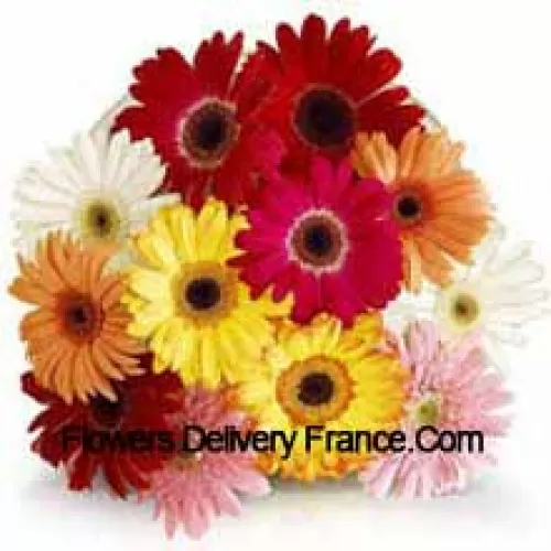 Ramo de 11 Gerberas de Colores Variados