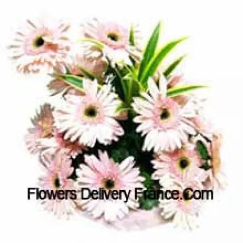 Basket Of 15 Pink Colored Gerberas