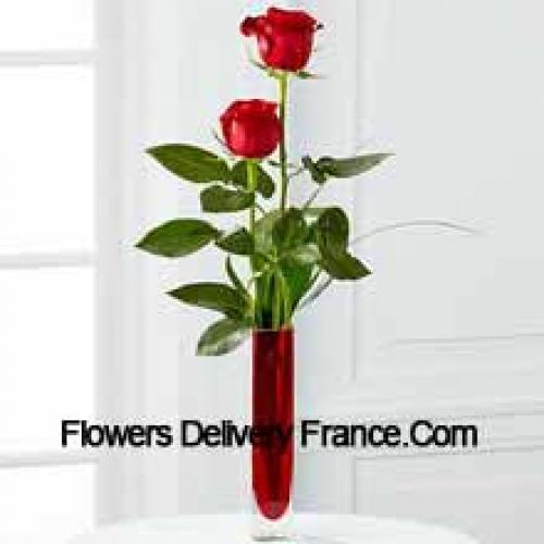 2 Douces Roses Rouges dans un Vase