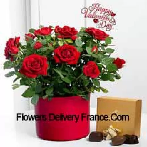 25 roses rouges avec des fougères dans un grand vase et une boîte de chocolats Godiva (Nous nous réservons le droit de substituer les chocolats Godiva par des chocolats de valeur égale en cas de non disponibilité des mêmes. Stock limité)