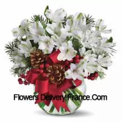 Deel de magie van een witte Kerst met dit vrolijke boeket van sneeuwwitte alstroemeria bloemen, gerangschikt in een vaas met feestelijke kerstversiering. (Let op: wij behouden ons het recht voor om elk product te vervangen door een geschikt product van gelijke waarde in geval van niet-beschikbaarheid van een bepaald product)